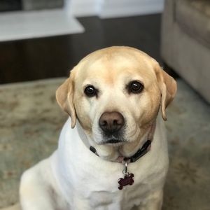 Meet your Posher, Jaclyn